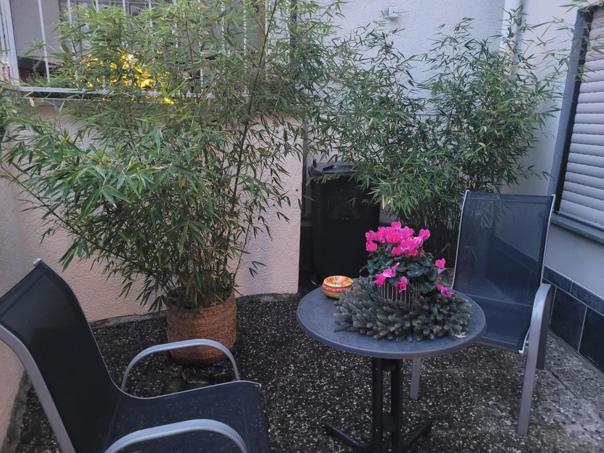 Ferienwohnung Riesling Bobenheim am Berg Zewnętrze zdjęcie